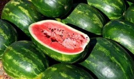 吃瓜爆料素材视频大全,吃瓜爆料素材视频大全大汇总