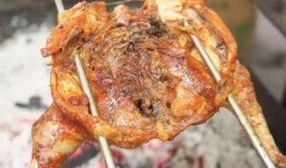 烤鸡外卖员爆料视频播放,揭秘视频播放背后的故事